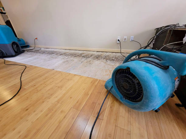 Professional Water Damage Repair technician working in Jacksonville, TX